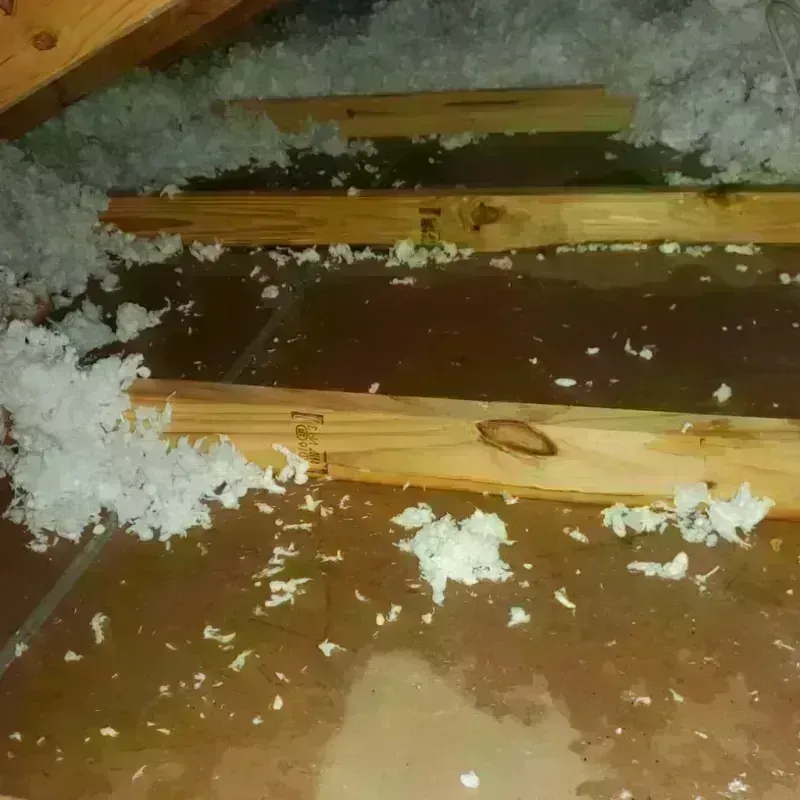 Attic Water Damage in Guntersville, AL