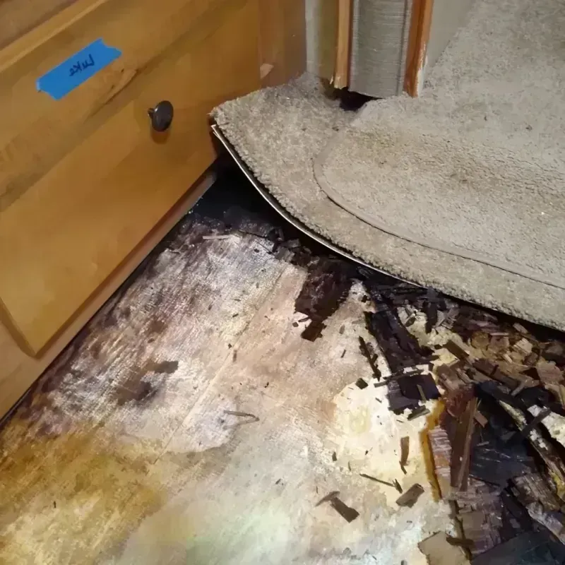 Wood Floor Water Damage in Guntersville, AL